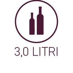 3,0 litri